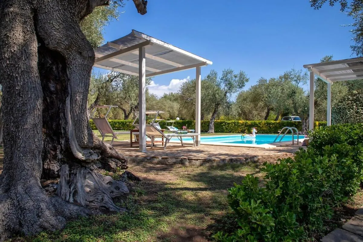 Villa Con Piscina 알게로 0*,  이탈리아